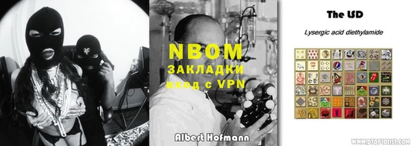 прущие грибы Алексеевка