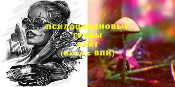 прущие грибы Алексеевка