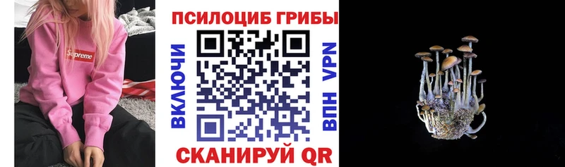 Галлюциногенные грибы Psilocybe darknet как зайти Камешково